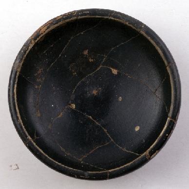 Marian Venceslá Delgado (CERES)